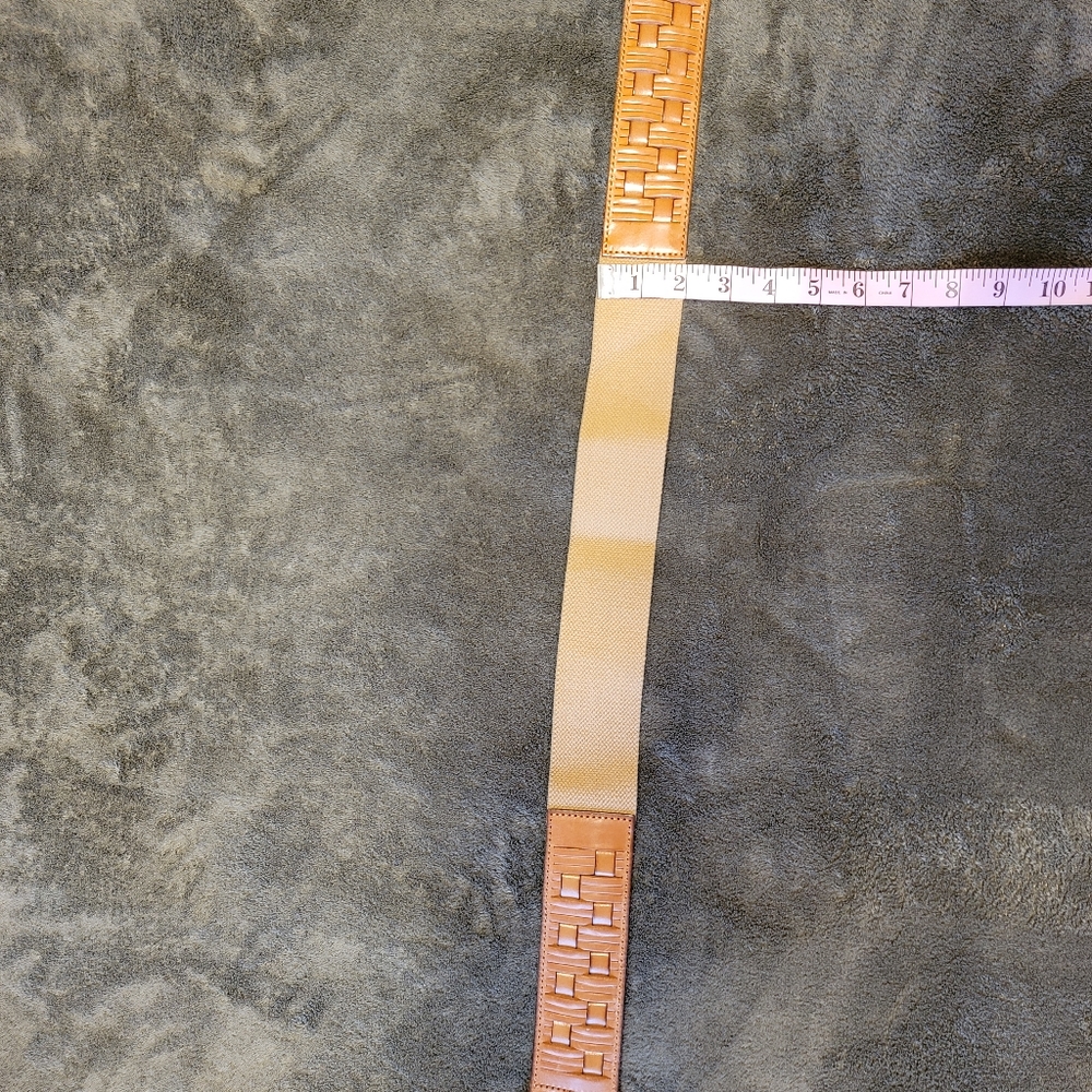 FossilBelt - Picture 2 of 4
